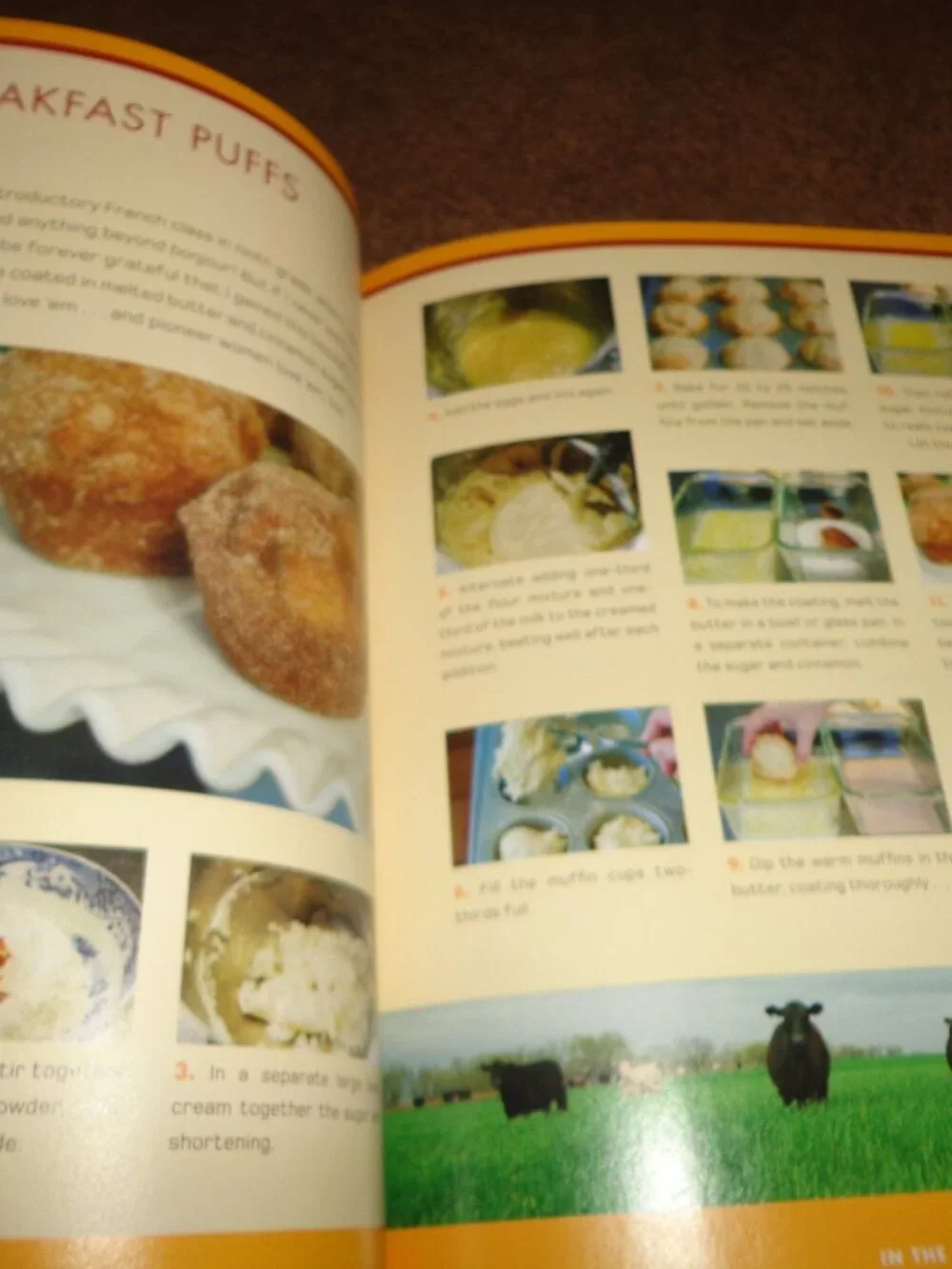 N/A new cookbook